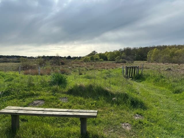 Bænk ved hegnet i Lyngholmparken