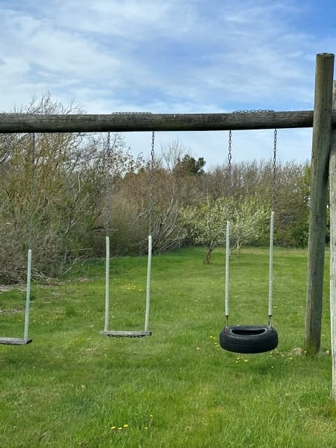 Gyngestativ i Lyngholmparken